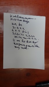 OLYMPUS DIGITAL CAMERA